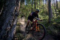 BCBR22_4_0253_DS