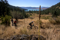 BCBR22_4_0318_DS