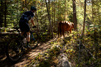 BCBR22_4_DSC04092_CS