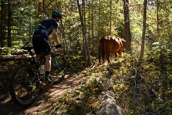 BCBR22_4_DSC04092_CS