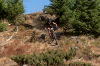 BCBR22_4_0075_DS
