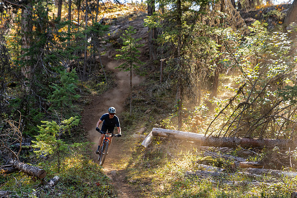 BCBR22_4_DSC04284_CS