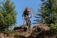 BCBR22_4_0103_DS