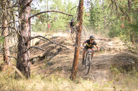 BCBR22_6_0036_DS