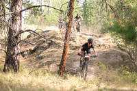 BCBR22_6_0063_DS