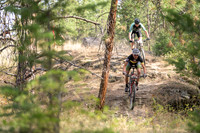BCBR22_6_0023_DS