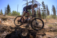 BCBR22_4_0037_DS