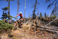 BCBR22_4_0009_DS