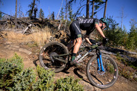 BCBR22_4_0006_DS