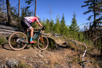 BCBR22_4_0015_DS