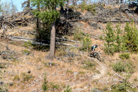 BCBR22_4_0042_DS