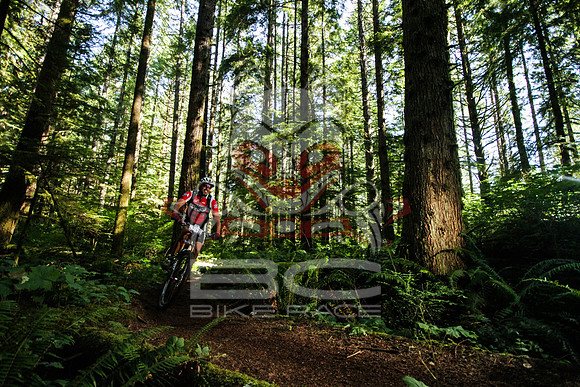 TW_BCBR13_Day02_0312