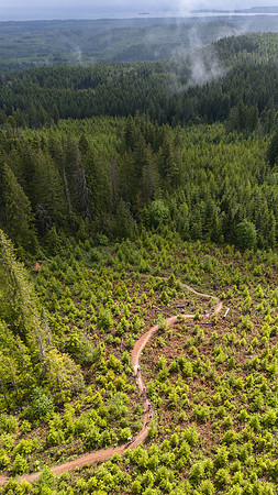 BCBR26_Day_3_DaveSilverPhoto_0002