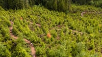 BCBR26_Day_3_DaveSilverPhoto_0004