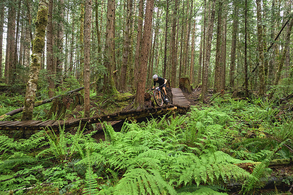 BCBR26_Day_3_DaveSilverPhoto_0030
