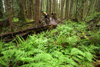 BCBR26_Day_3_DaveSilverPhoto_0062