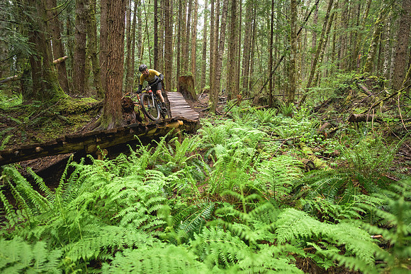 BCBR26_Day_3_DaveSilverPhoto_0066