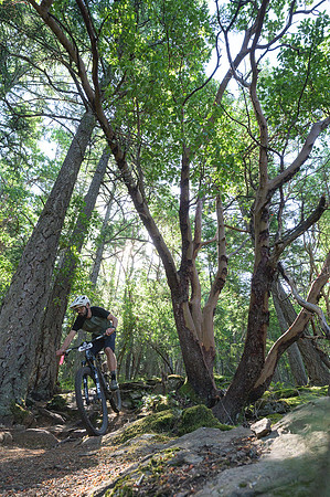 BCBR26_Day_5_DaveSilverPhoto_0001