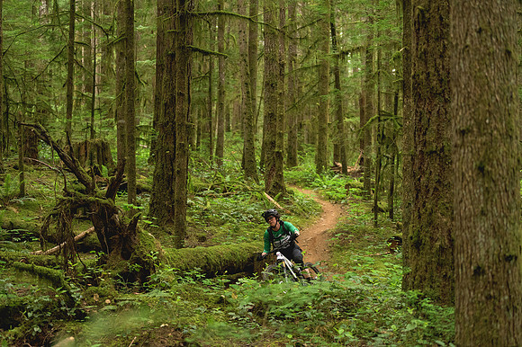 BCBR26_Day_2_DaveSilverPhoto_0184