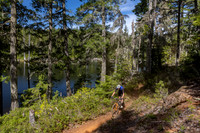 BCBR_2026_Day1_SaraKempner-5