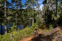 BCBR_2026_Day1_SaraKempner-4