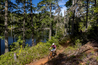 BCBR_2026_Day1_SaraKempner-3
