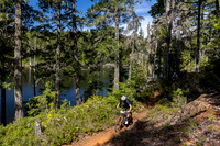 BCBR_2026_Day1_SaraKempner-1