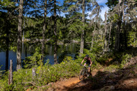 BCBR_2026_Day1_SaraKempner-6