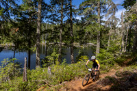 BCBR_2026_Day1_SaraKempner-19