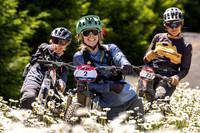 MegaVolt Cowichan