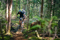 BCBR_2026_Day_1_Deniz_Merdano 11