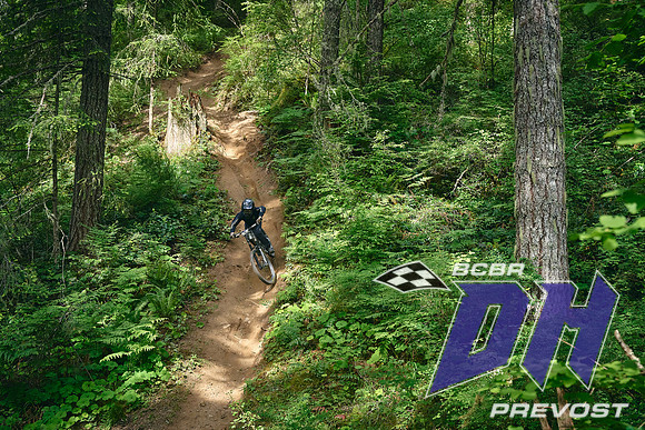 BC_Bike_Fest_Blackbird_Works_Deniz_Merdano 1