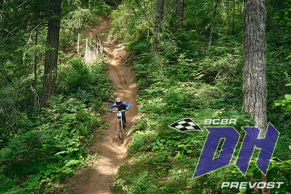 BC_Bike_Fest_Blackbird_Works_Deniz_Merdano 2
