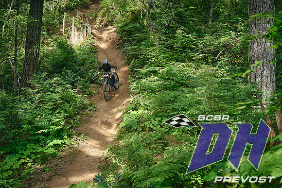 BC_Bike_Fest_Blackbird_Works_Deniz_Merdano 3