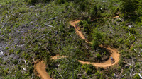 BCBR26_Day_1_DaveSilverPhoto_0126
