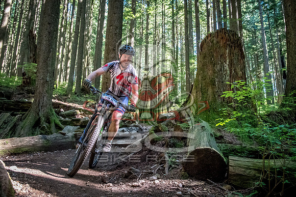 BCBR18_6_0018_SR