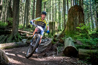 BCBR18_6_0017_SR