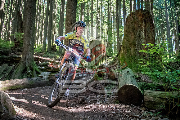 BCBR18_6_0017_SR