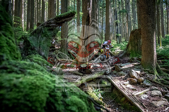 BCBR18_6_0006_SR