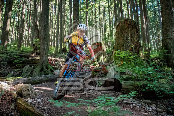BCBR18_6_0008_SR
