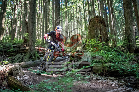 BCBR18_6_0012_SR
