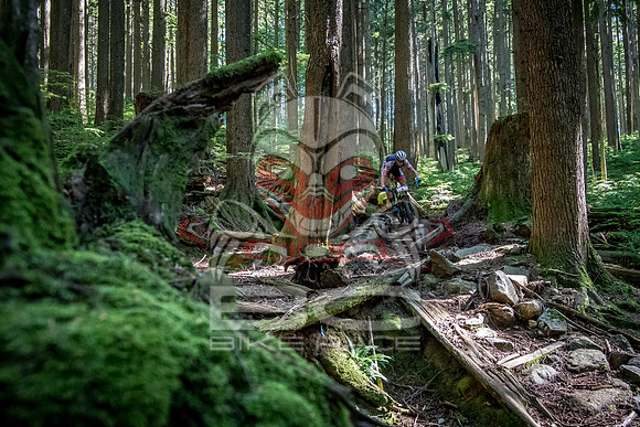 BCBR18_6_0005_SR