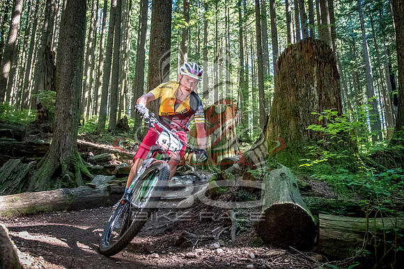BCBR18_6_0020_SR