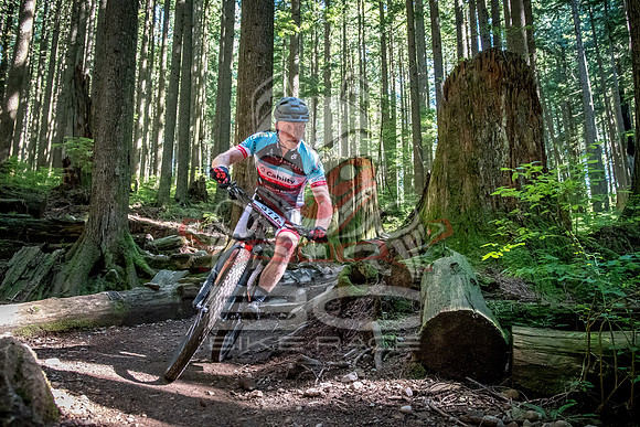 BCBR18_6_0023_SR