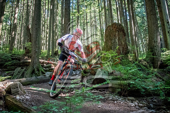 BCBR18_6_0011_SR