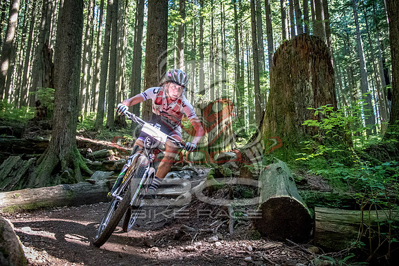 BCBR18_6_0021_SR
