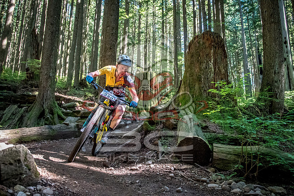 BCBR18_6_0014_SR