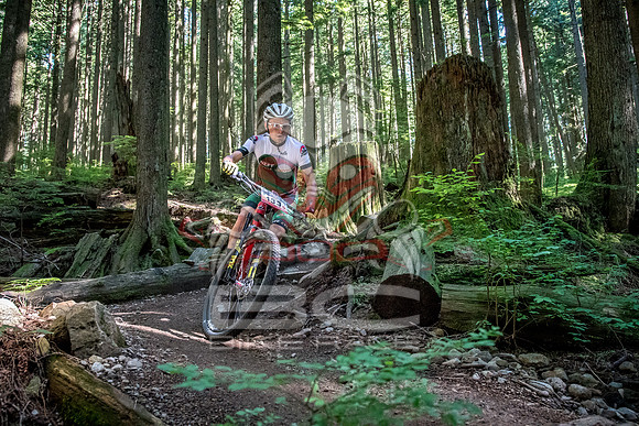 BCBR18_6_0009_SR
