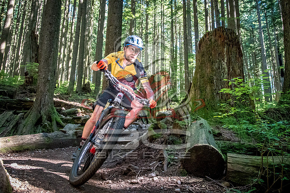 BCBR18_6_0019_SR