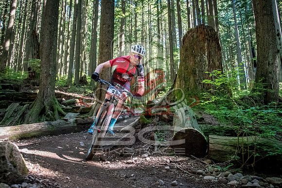 BCBR18_6_0016_SR